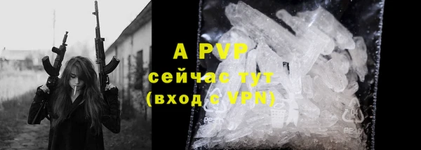 ECSTASY Кукмор