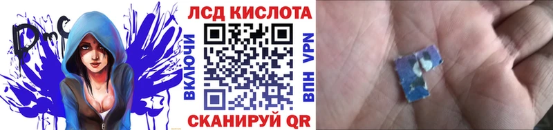 Купить где  Новое Девяткино  Марки NBOMe 1500мкг 