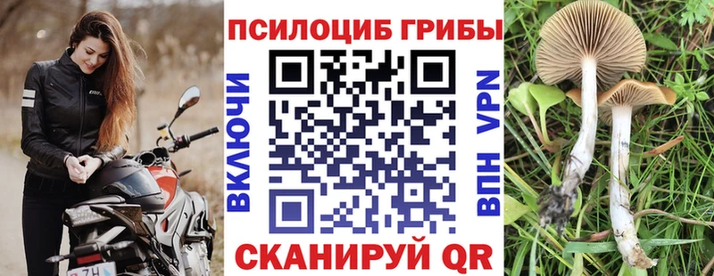 Псилоцибиновые грибы Magic Shrooms  Купить  Новое Девяткино 